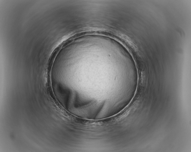 X0000111671165200907311152