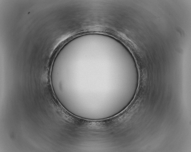 X0000111671166200907311152