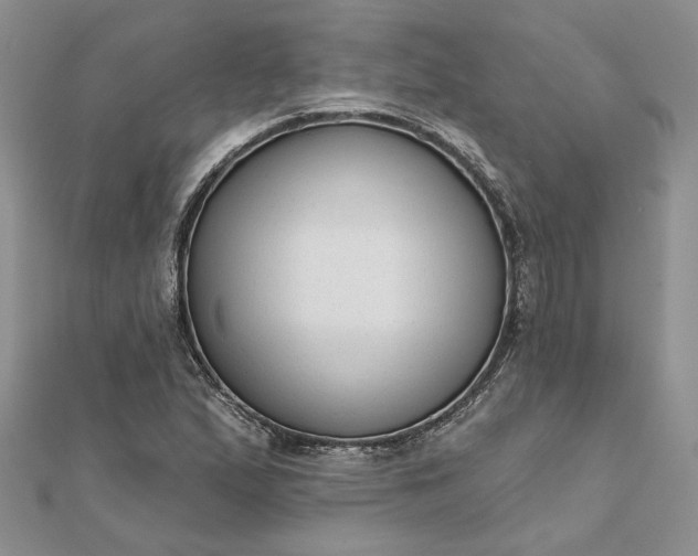 X0000111671167200907311152