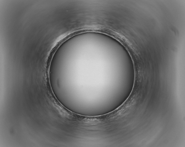 X0000111671168200907311152