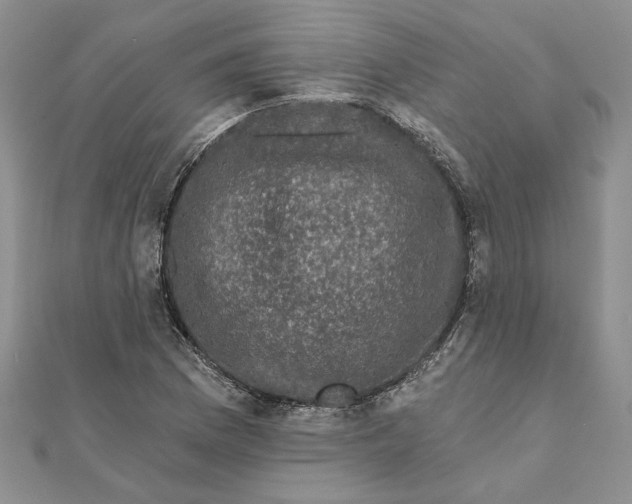 X0000111671169200907311152