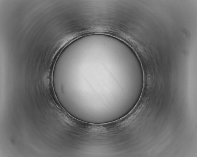 X0000111671170200907311152