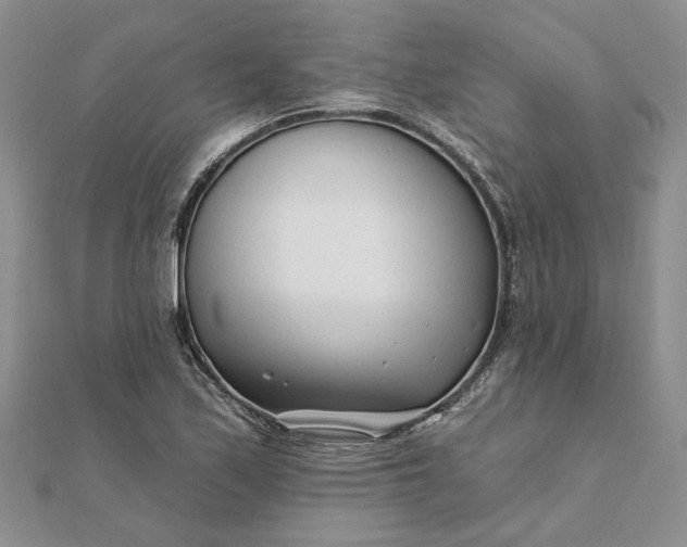 X0000111671171200907311152