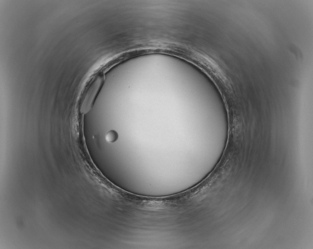 X0000111671172200907311152