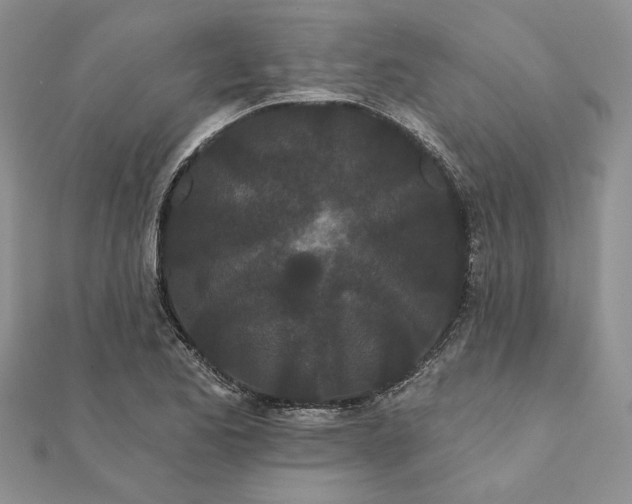 X0000111671173200907311152