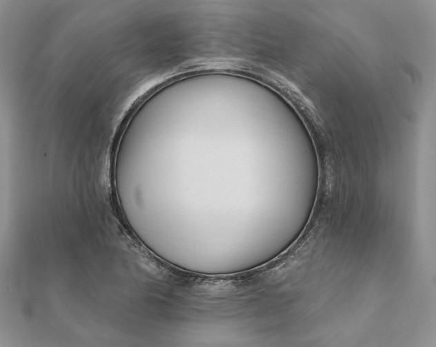 X0000111671174200907311152