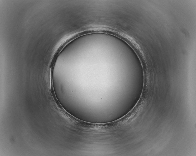 X0000111671175200907311152