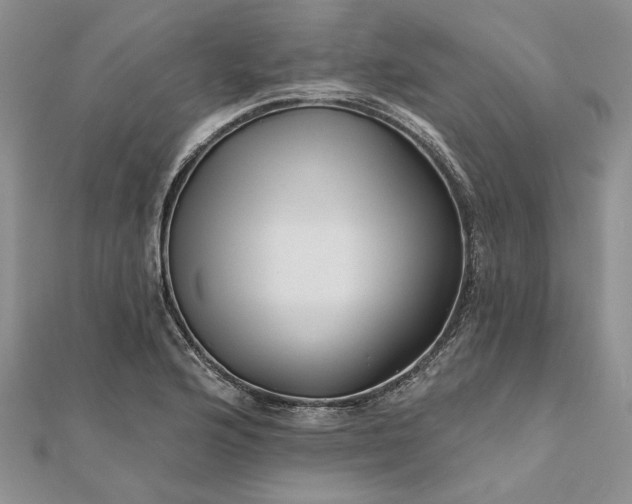 X0000111671176200907311152