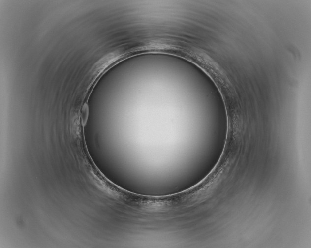 X0000111671177200907311152