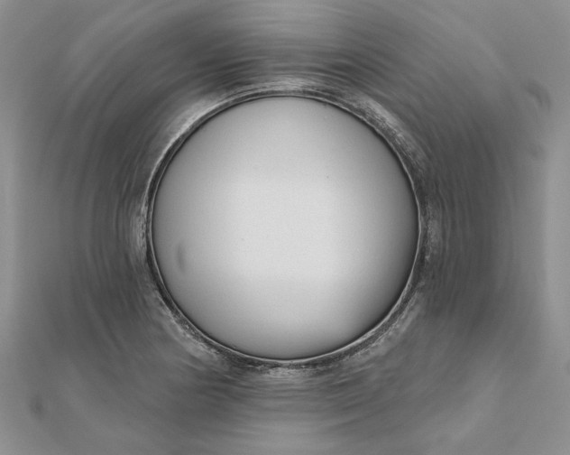 X0000111671178200907311152