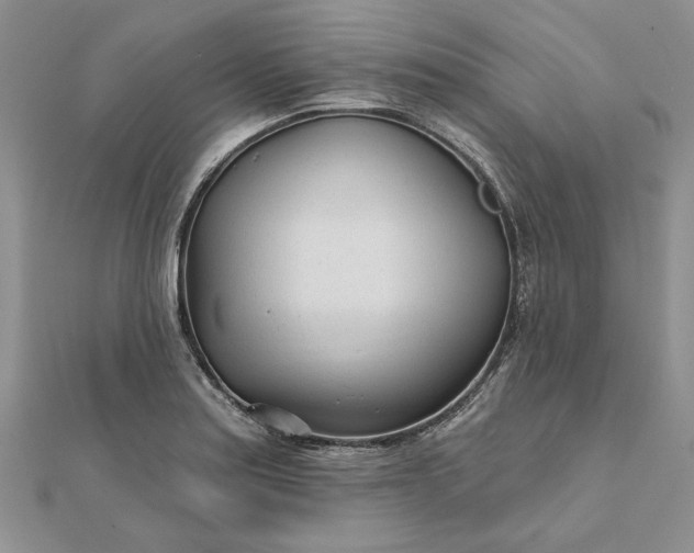 X0000111671179200907311152