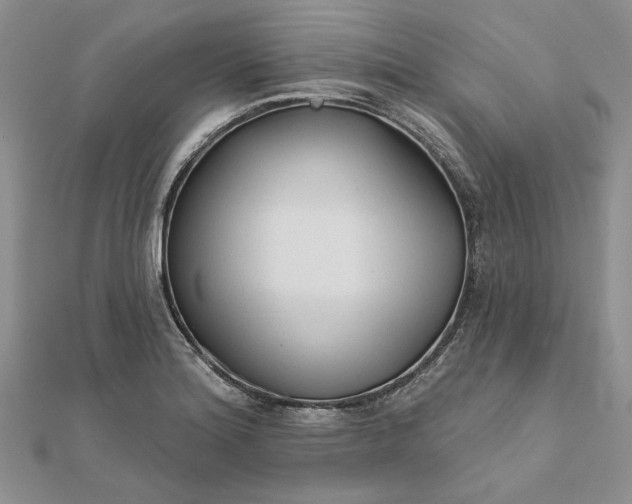 X0000111671180200907311152