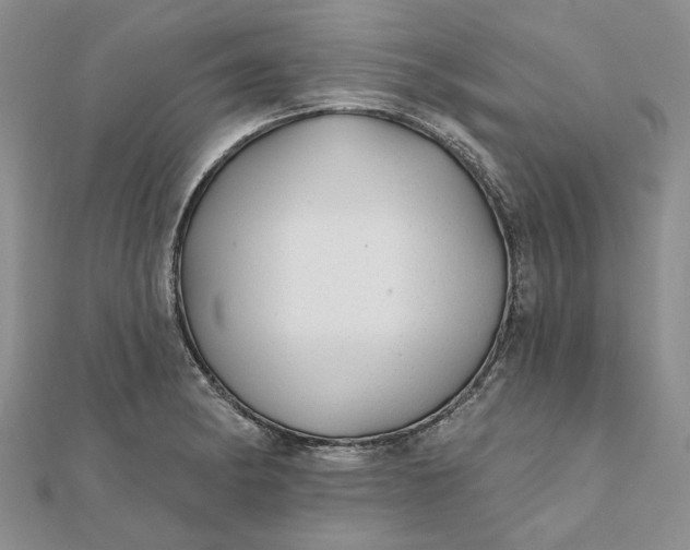 X0000111671182200907311152