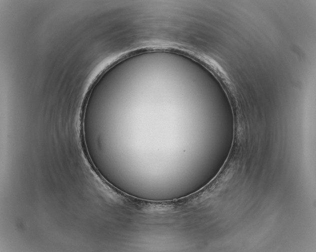 X0000111671183200907311152