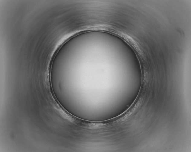 X0000111671184200907311152