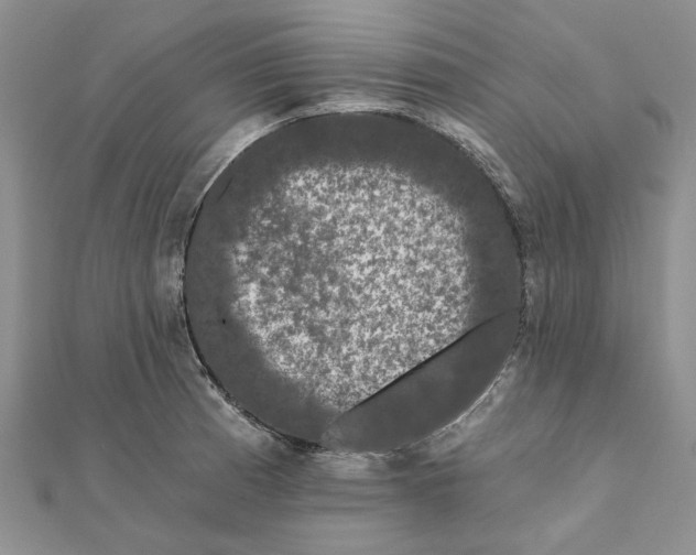 X0000111671185200907311152