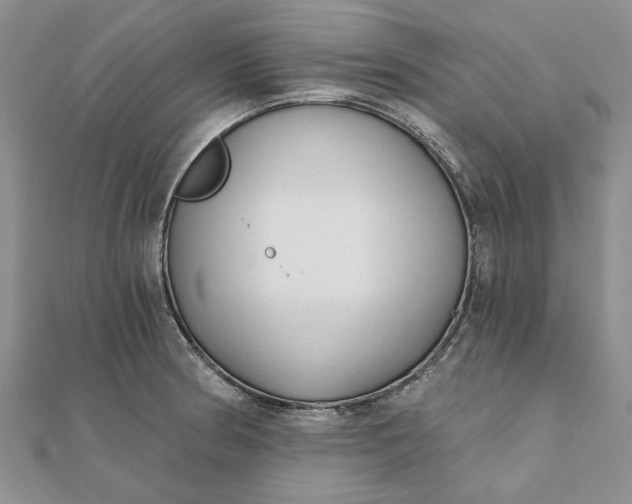 X0000111671186200907311152