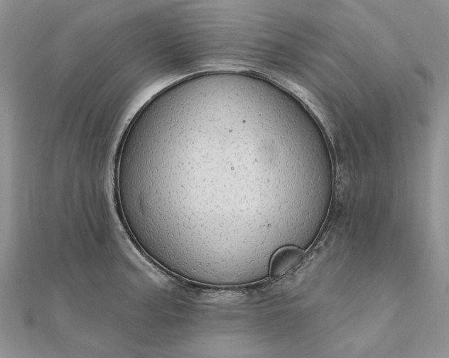 X0000111671187200907311152