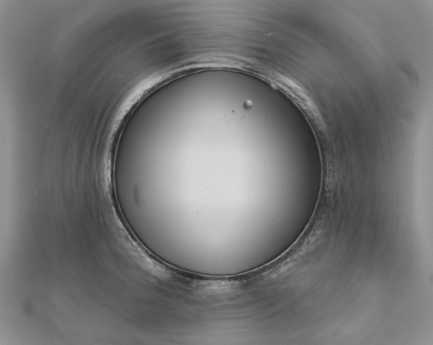 X0000111671188200907311152