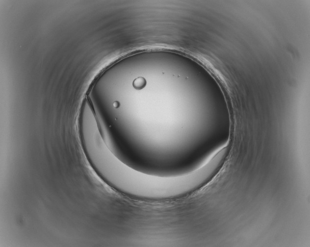 X0000111671189200907311152