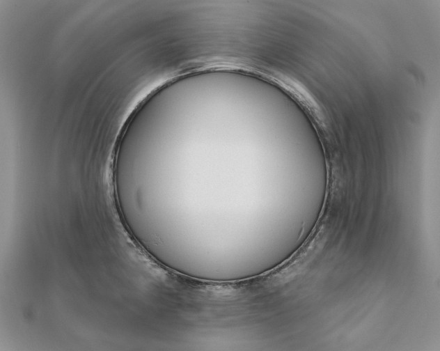 X0000111671190200907311152