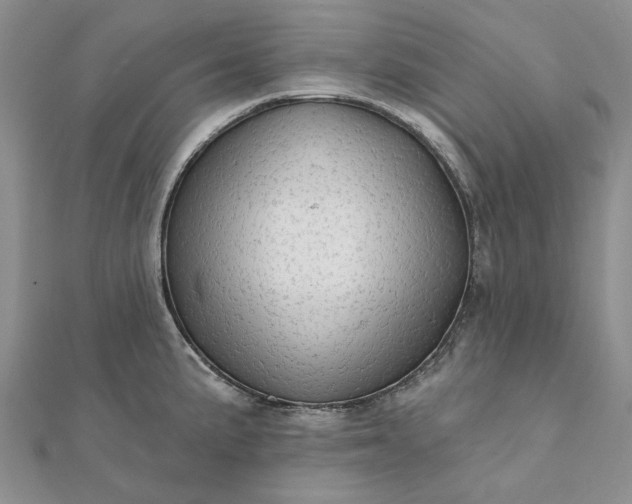 X0000111671191200907311152