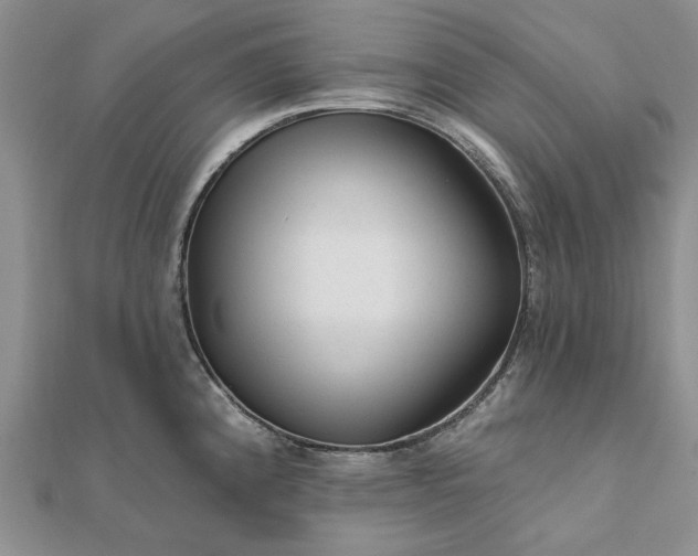 X0000111671192200907311152