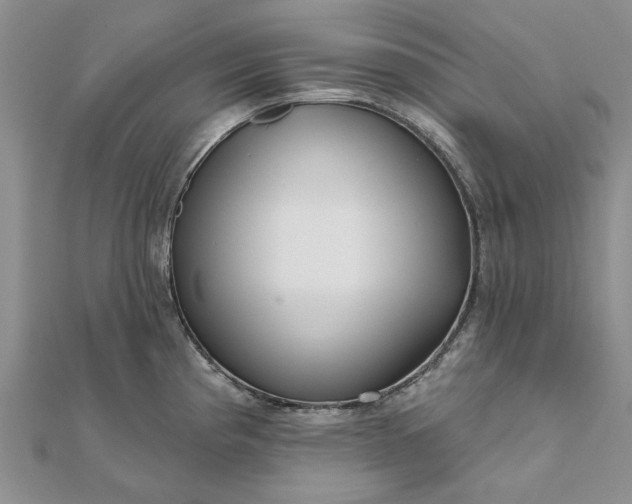 X0000111671193200907311152