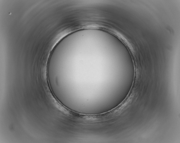 X0000111671194200907311152