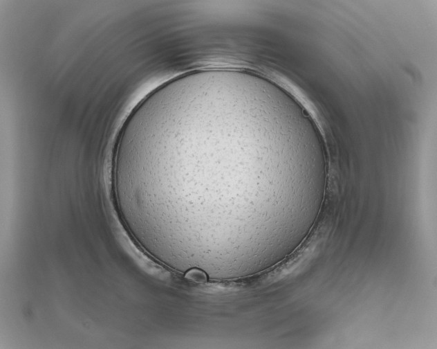 X0000111671195200907311152