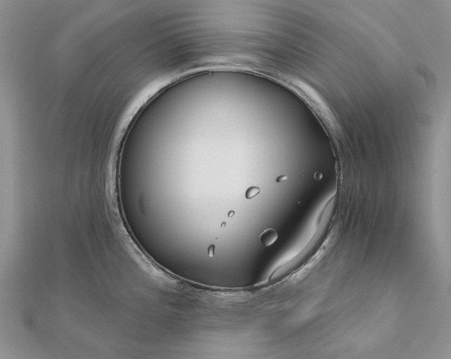 X0000111671196200907311152