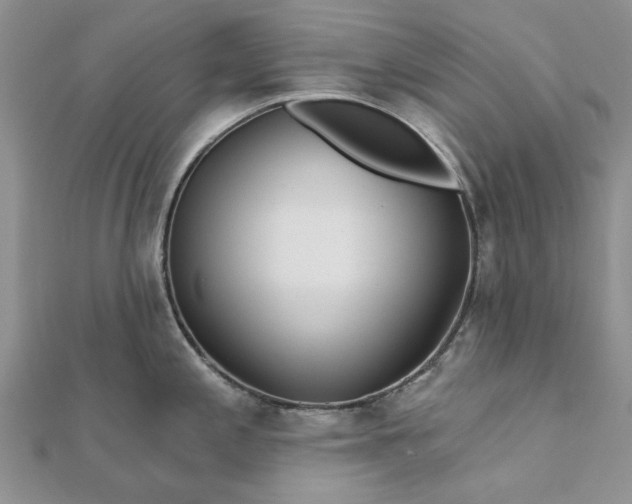 X0000111671197200907311152