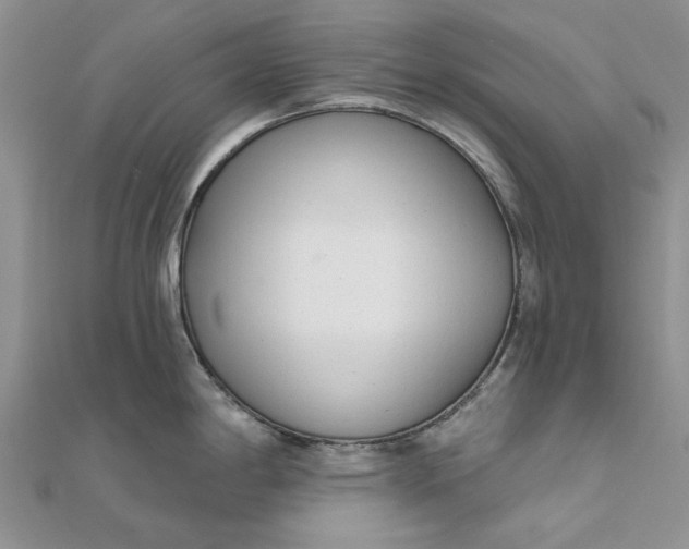 X0000111671198200907311152