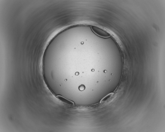 X0000111671199200907311152