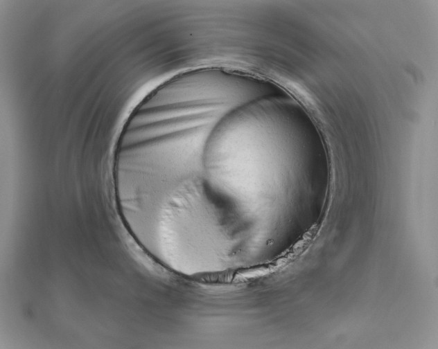 X0000111671200200907311152