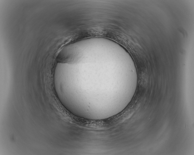 X0000111671201200907311151