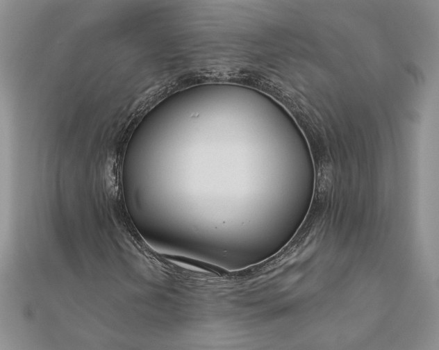 X0000111671202200907311151