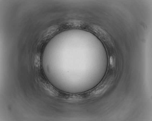 X0000111671203200907311151