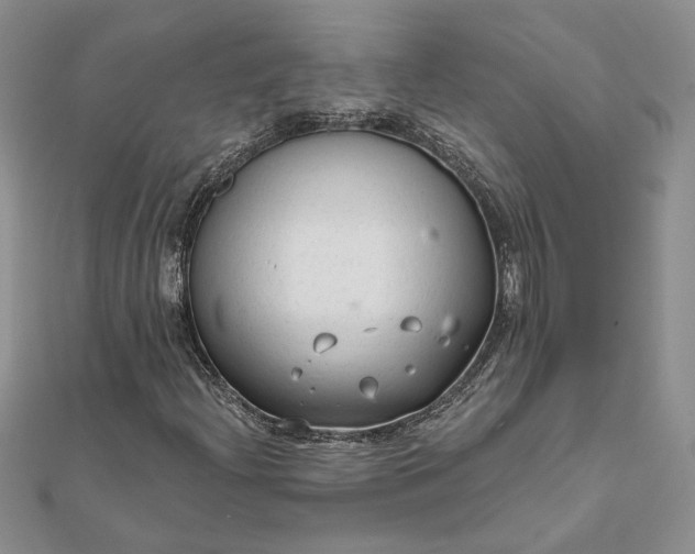 X0000111671204200907311151