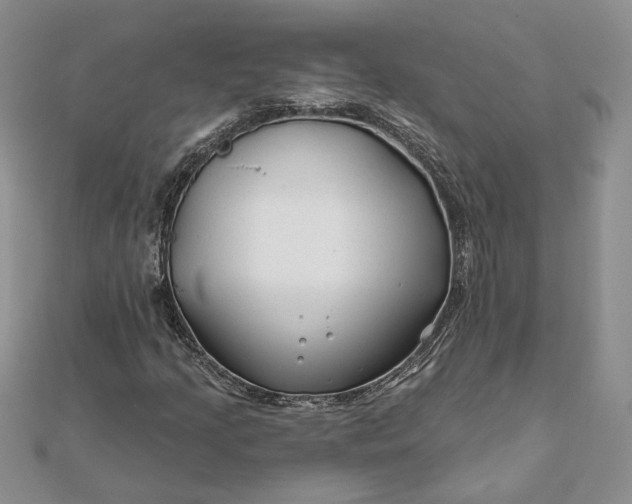 X0000111671205200907311151