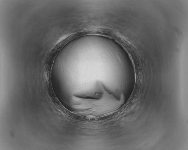 X0000111671206200907311151