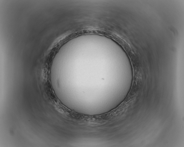 X0000111671207200907311151