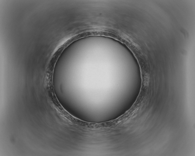 X0000111671208200907311151