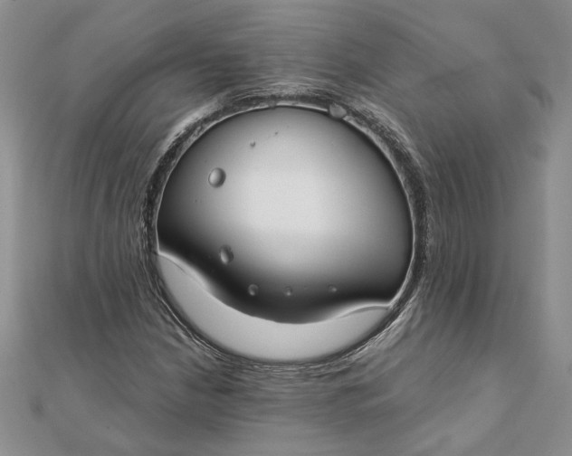 X0000111671210200907311151