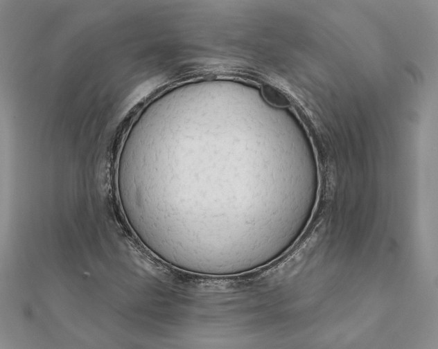 X0000111671211200907311151