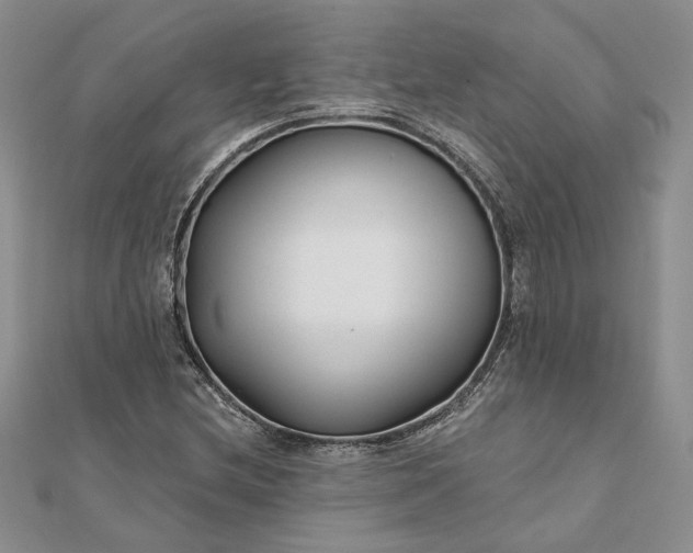 X0000111671212200907311151