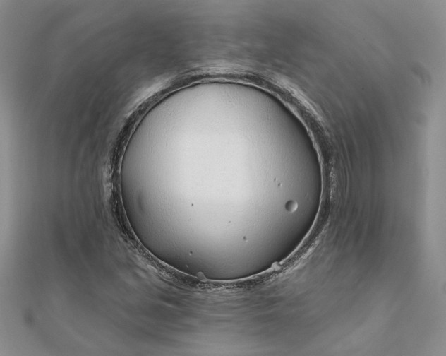 X0000111671213200907311151