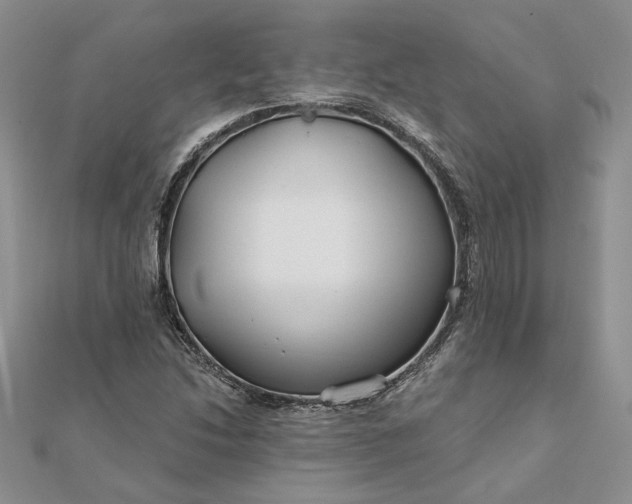 X0000111671214200907311151