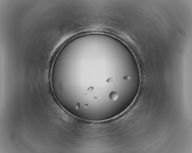 X0000111671216200907311151