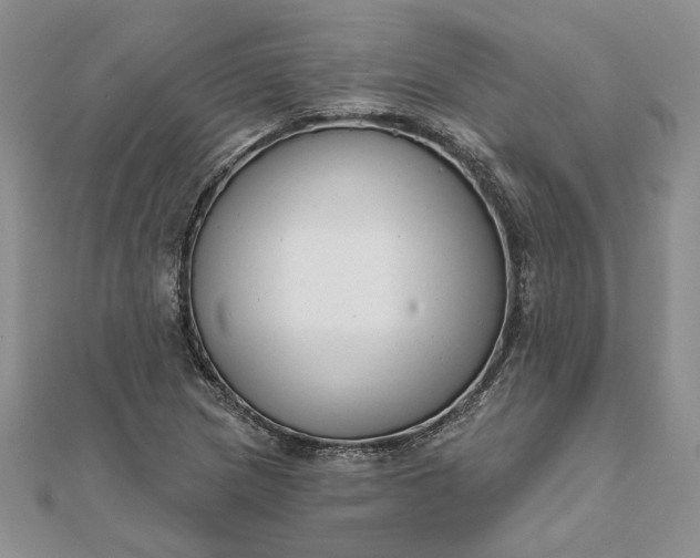 X0000111671217200907311151